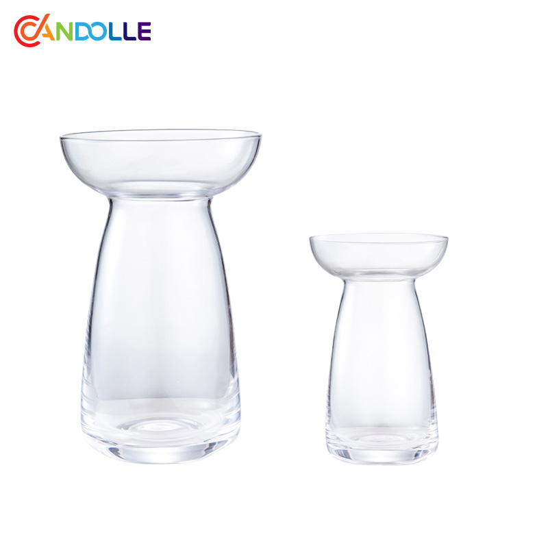 Modern Flared Mouth Glass Vases for Dried Fresh Flowers